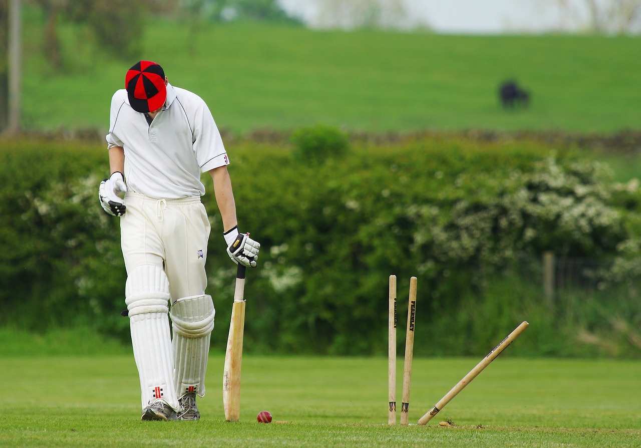 Fantasy Cricket